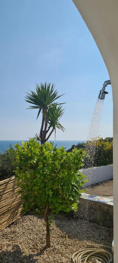 Casa Colomba Sant'angelo Sant'Angelo (Isola d'Ischia)