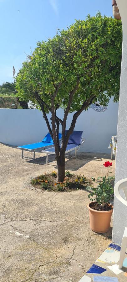 Casa Colomba Sant'angelo Apartment Sant'Angelo (Isola d'Ischia)