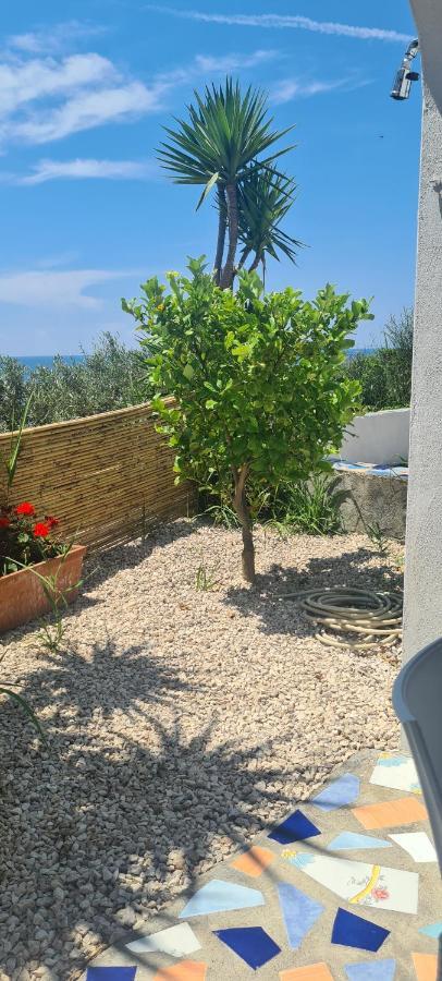 Casa Colomba Sant'angelo Apartment Sant'Angelo (Isola d'Ischia)